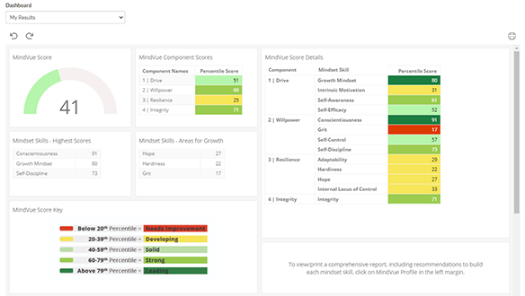 MindVue Assessment Dashboard
